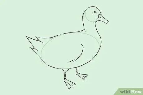 Draw Ducks Step 15