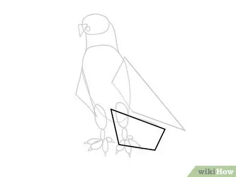 Draw an Eagle Step 25