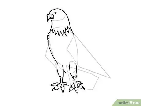 Draw an Eagle Step 27