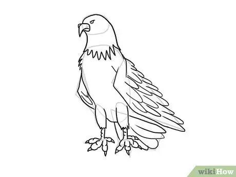 Draw an Eagle Step 28