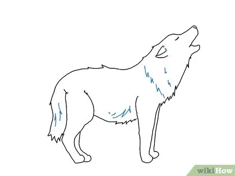 Draw a Wolf Step 16