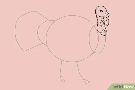 Draw a Turkey Step 17