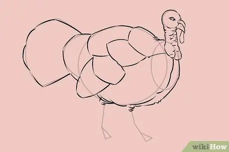 Draw a Turkey Step 19