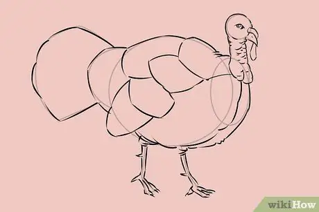 Dibujar un pavo Paso 20