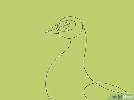 Draw an Exotic Peacock Step 20