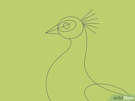 Draw an Exotic Peacock Step 21