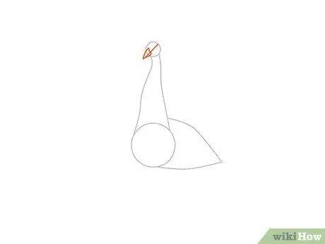 Draw an Exotic Peacock Step 3