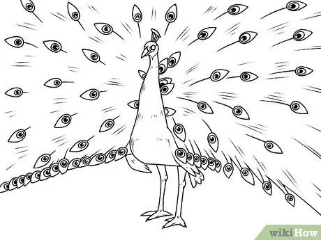 Draw an Exotic Peacock Step 8