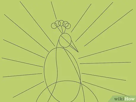 Draw an Exotic Peacock Step 9