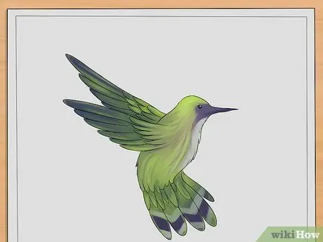 Draw Hummingbirds Step 7