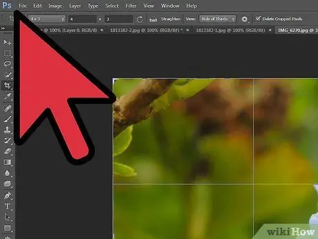 Een afbeelding spiegelen in Adobe Photoshop Stap 1