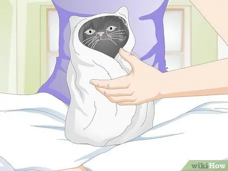 Clean Gunk from Your Cat's Eyes Step 6