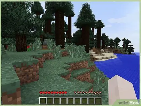 Seja um jogador especialista em Minecraft, passo 1