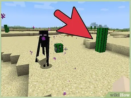 Seja um jogador especialista em Minecraft, etapa 23