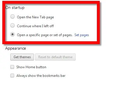 Set Homepage in Google Chrome Step 2