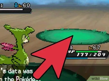 Pokemon Black 2 ve White 2 Step 9'da Parlak Haxorus'u yakalayın