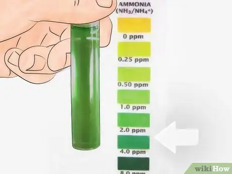 Cyklus nádrže s rybami, krok 10